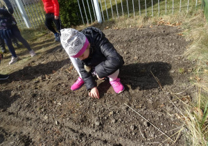 Dziewczynka sieje nasiona.